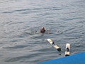 09 09 12 Wasserskifahren MVB (9)